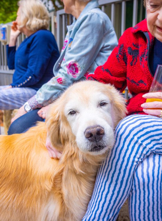 resident petting a dog at The Stayton