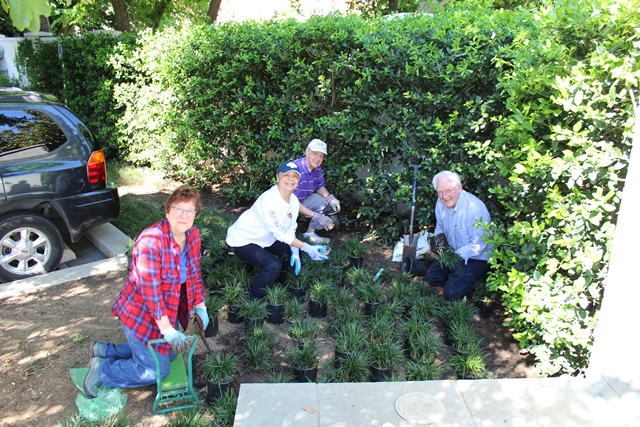 seniors doing some landscaping