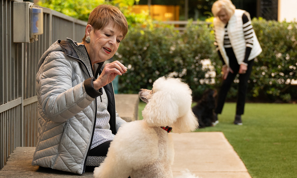 Elderly woman playing with her dog at the park.